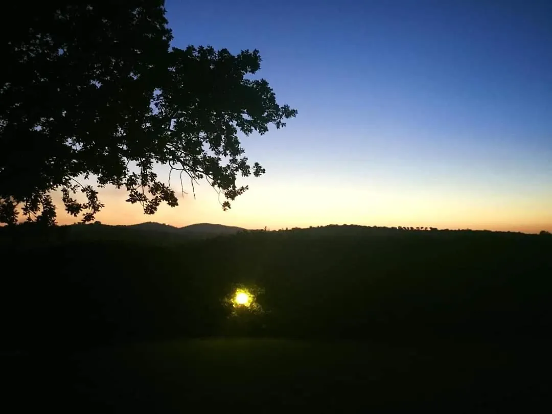 Le Siepi Villa Magliano in Toscana