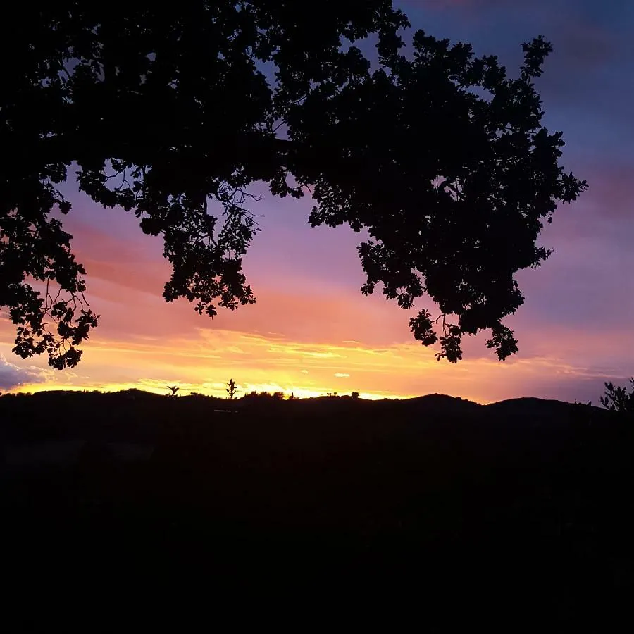 Le Siepi Villa Magliano in Toscana Farm stay