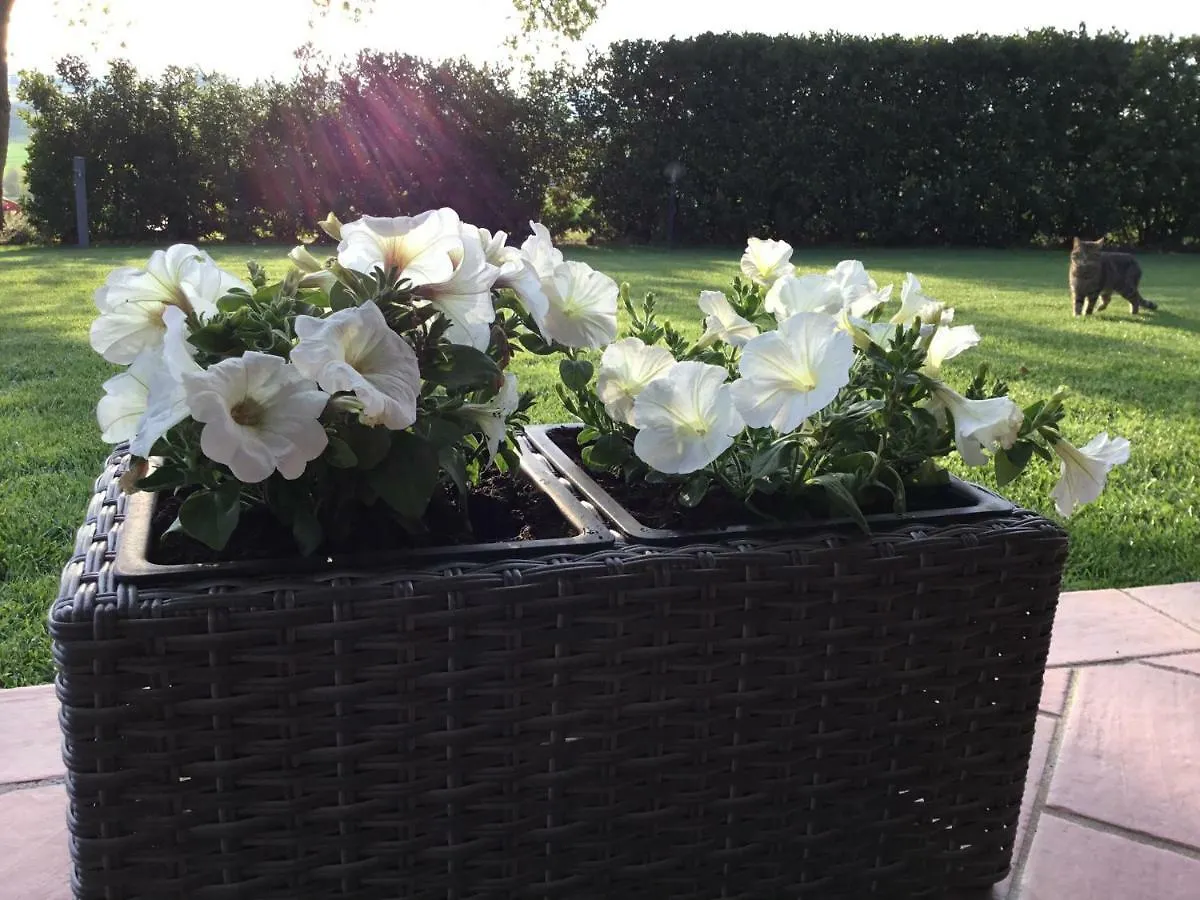 Le Siepi Villa Magliano in Toscana Farm stay