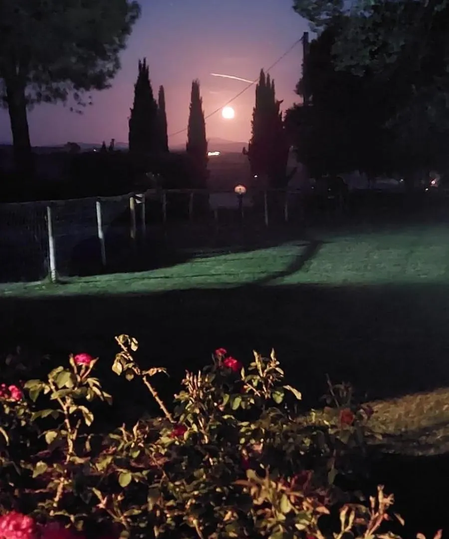 Le Siepi Villa Magliano in Toscana 0*,